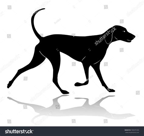 Hunting Dog Walking Silhouette Vector Stock Vector 709375183 Shutterstock
