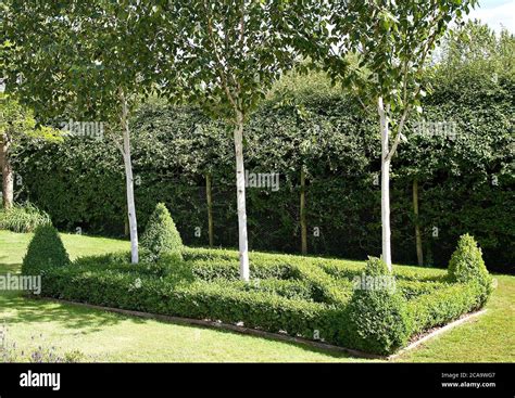 Garden Plants Trees And Flowers Stock Photo Alamy
