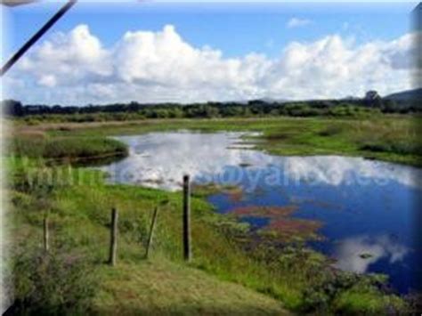 Maybe you would like to learn more about one of these? Ambientes acuáticos