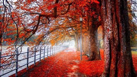 4K Ultra HD Nature Wallpaper (67+ images)