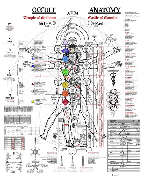 Esoterica The Vitruvian Man Updated Occult Anatomy Vitruvian Man