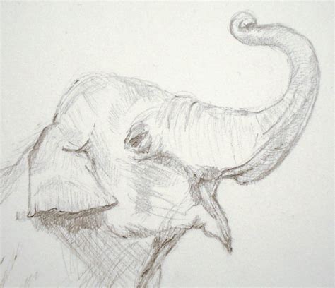 Easy doodles to here are some easy and cool things to draw if you are looking to help sharpen your artist eye and get. An Elephant a Day: Elephant No. 353: Anamorphosis