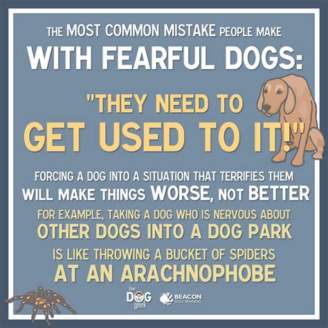 Why Fearful Dogs Dont Need To Get Used To It Beacondogtraining Blog