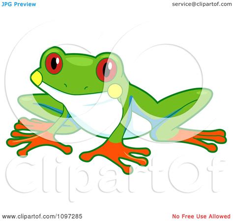 Clipart Cute Red Eyed Tree Frog Royalty Free Vector Illustration By