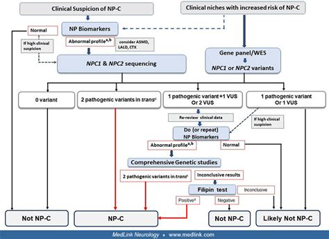 Niemann Pick Disease Type C Medlink Neurology