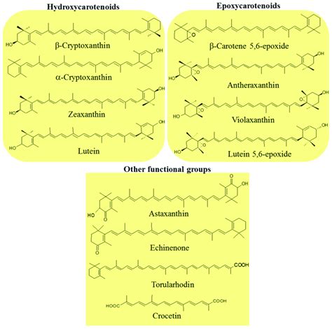 Examples Of Xanthophylls With Some Oxygenated Functional Groups In