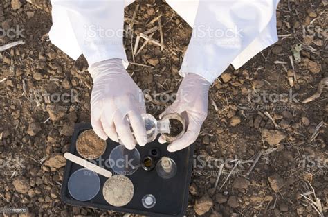 Laboratory Assistant Wearing Gloves And White Coat Working In The Field