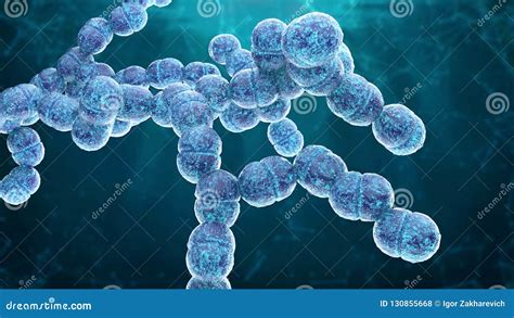 Diplococcus Bacterium 3d Render Stock Illustration Illustration Of