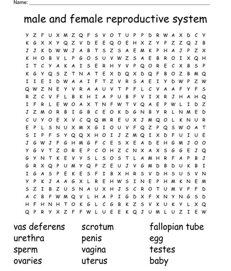 female and male reproductive system word search wordmint hot sex picture