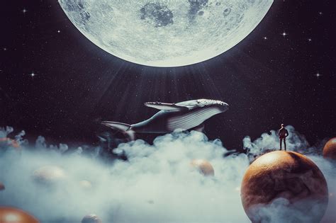 Flying Whales On Behance