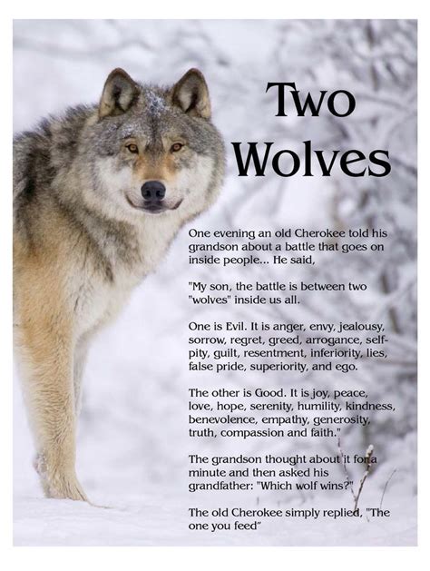 Image Result For Two Wolf Story Great Quotes Love Quotes