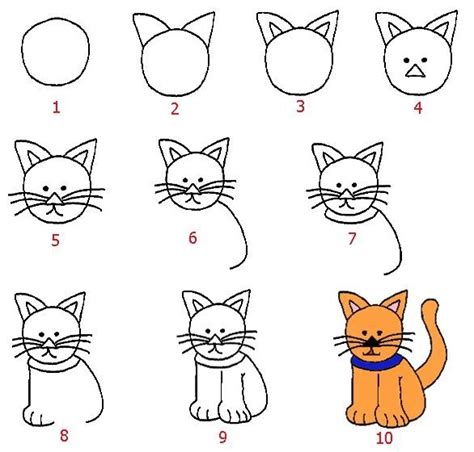 Cómo Se Dibuja Un Gato