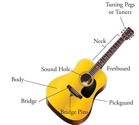 Guitar Anatomy The Parts Of A Guitar Easily Explained 57 Off