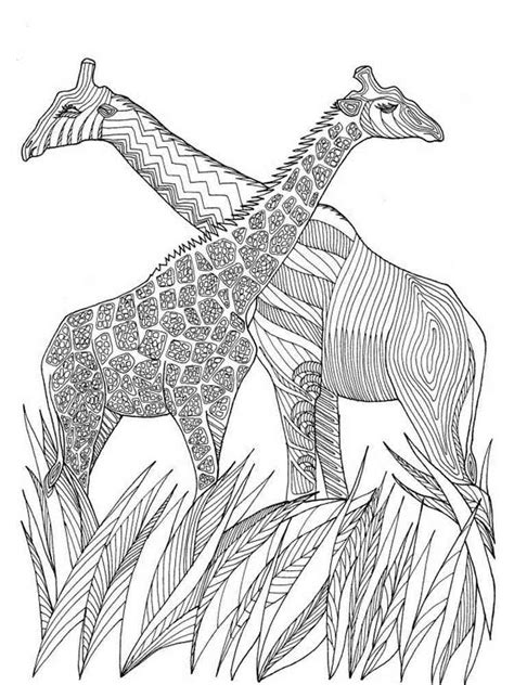 Giraffes Coloring Pages For Adults 150 Giraffes Ideas Coloring Pages