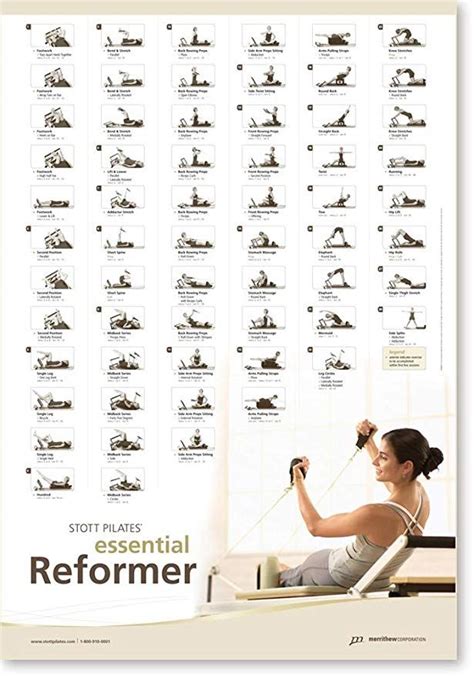 Amazon Com Stott Pilates Wall Chart Essential Matwork Fitness Charts And Planners Sports