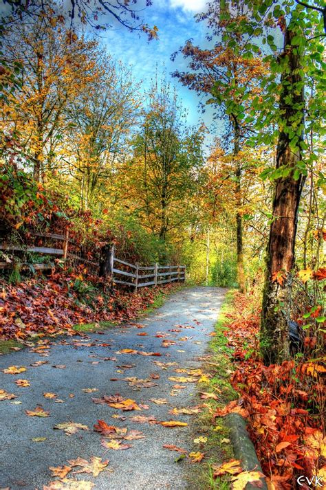 Soothing Autumn Landscape Ideas For This Season Homishome