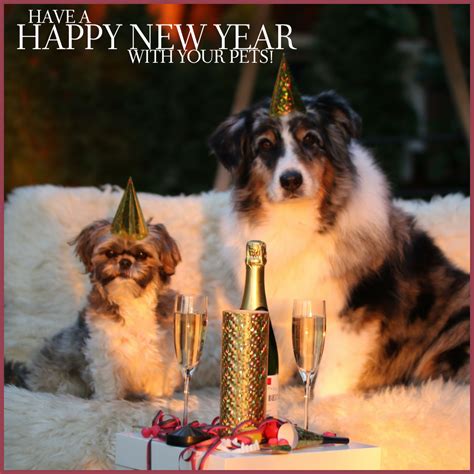 Have A Happy New Year With Your Pets Dog Party Puppy Party Dogs