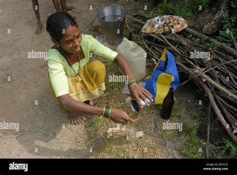 Woman Filtering And Selling Alcohol Katkari Tribe Stock Photo Alamy