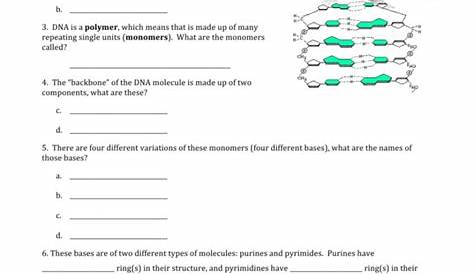 dna the genetic material worksheet