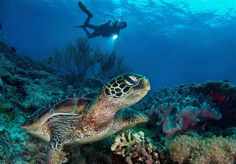 Atmosphere Resort And Spa Dive Diverse Travel