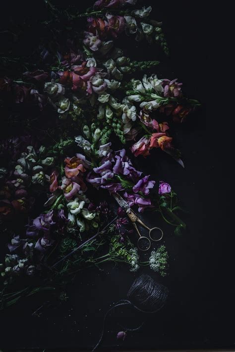Dark And Moody Flowers Christina Greve Flowers Photography Wallpaper