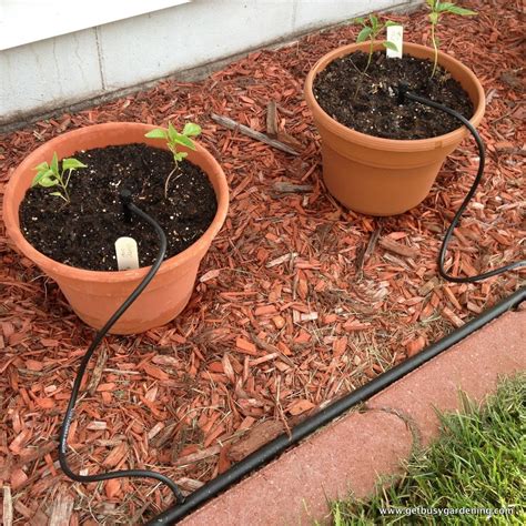 How To Install A Diy Drip Irrigation System For Potted Plants Drip