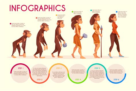 Women Evolution Cartoon Graphic Illustration Template Download On Pngtree