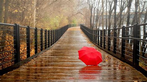 Red Umbrella On The Bridge Rainy Day Wallpaper Download
