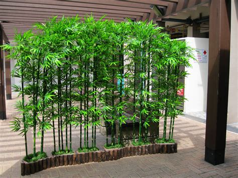 With an exotic look, bamboo is making a bamboo project is pretty easy and cheap. Hoi Kee Flower Shop: Bamboo Landscape 34