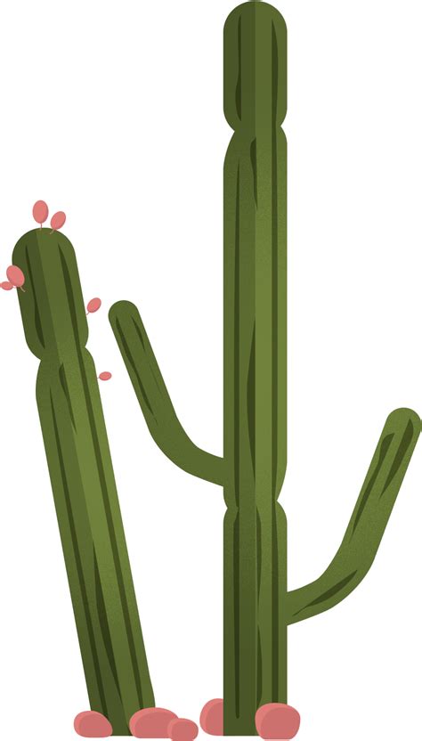 Download Free Vector Plant Cactus Green Png Image High Quality Icon