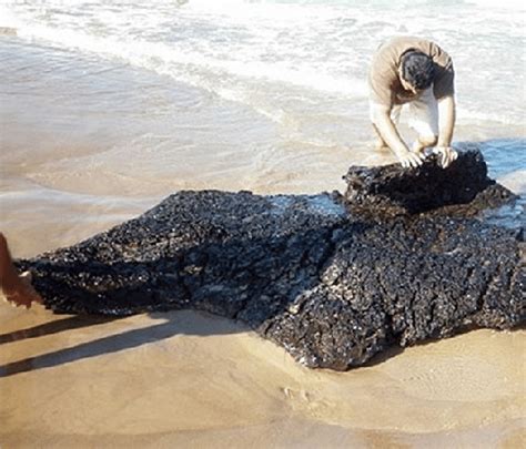 Chapopote On The Gulf Coast In 2011 This Natural Phenomenon Continues Download Scientific