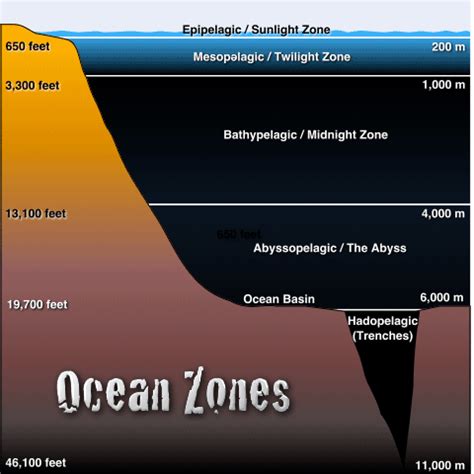 List Of Layers Of The Ocean Surface To Abyss Deep Sea Depths