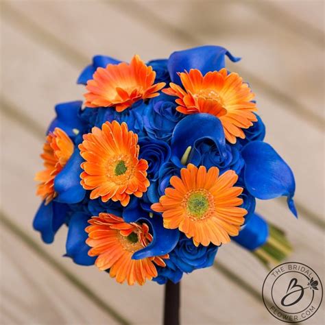 Royal Blue And Orange Roses Gerbera Daisies Bouquet Orange Flower
