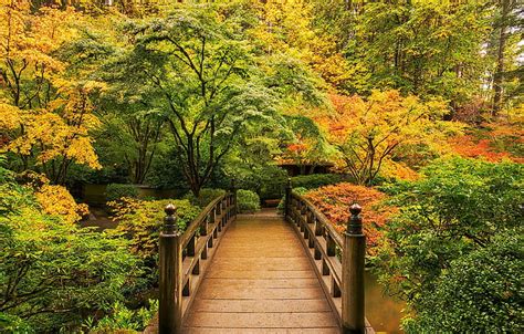 秋、 橋、 公園、 ©jay Huang、 Hdデスクトップの壁紙 Wallpaperbetter