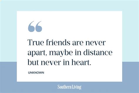Cute Best Friend Quotes About True Friendship
