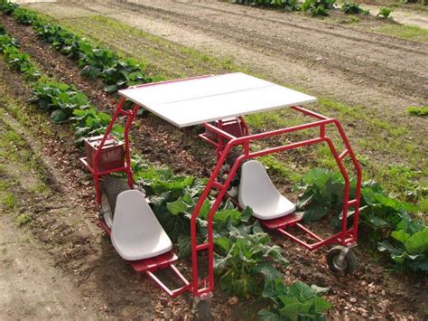 This Blog For You Diy Garden Cart Plans