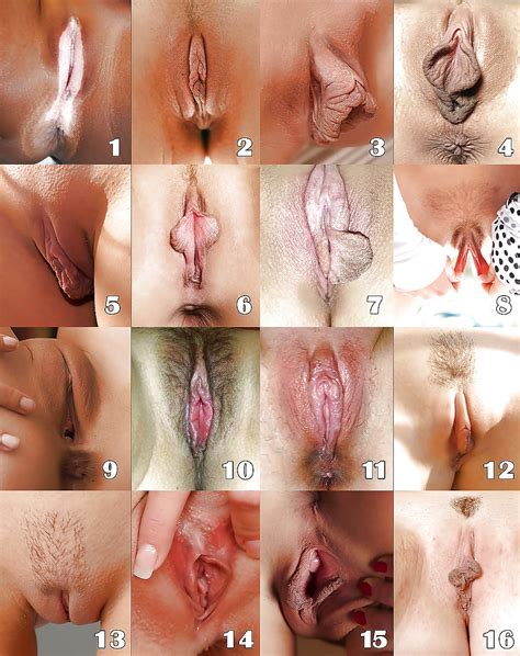 See And Save As Select Your Favorite Pussy Shape Porn Pict 4crot Com