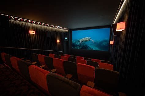 About Us - Alice Alice