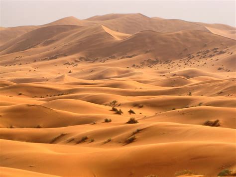 Erg Chebbi Sand Dunes Sahara Desert Morocco A Photo On Flickriver
