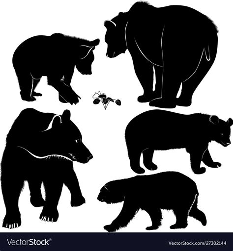 Set Silhouettes Bears Bears Collecti Royalty Free Vector