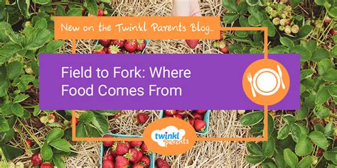 Field To Fork Where Food Comes From Twinkl