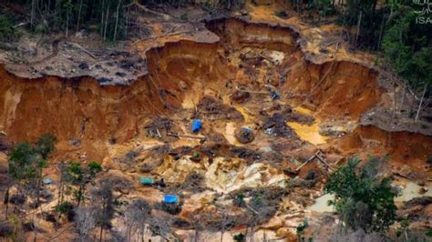 지구의 허파 아마존 둘러싼 원주민 금광업자 총격전⋯배경은 Bbc News 코리아