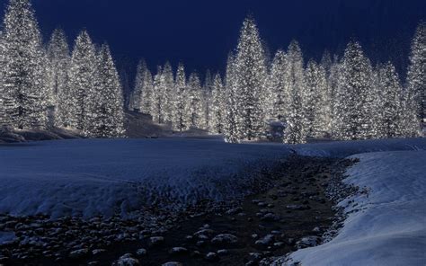 Beautiful Magical Snow Scene Forest Happy New Year