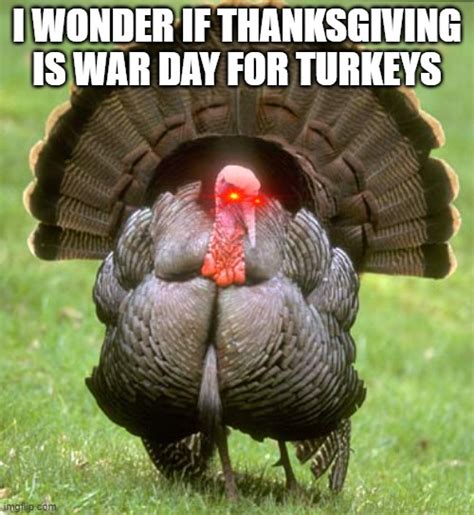 Turkey Meme Imgflip