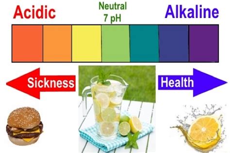 The higher the ph, the more alkaline or. How To Make Refreshing Alkaline Water That Will Improve ...