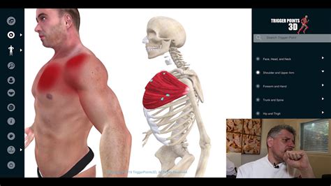 Pectoralis Major Trigger Point Of The Week Youtube