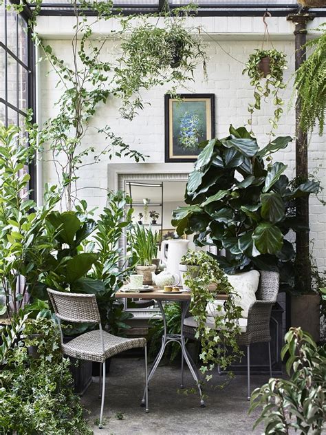 The Joys And Pain Of A Garden Room Filled With Plants