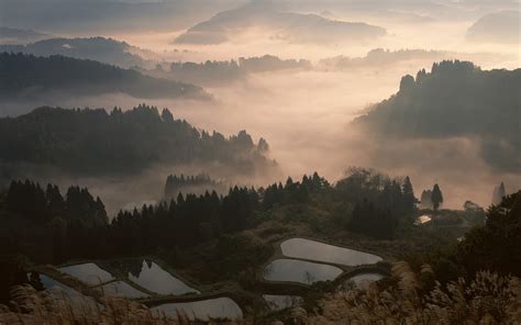 Wallpaper Japan Sunlight Trees Landscape Forest Mountains