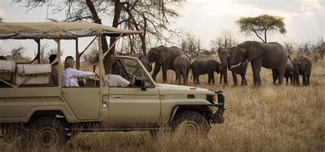 Tanzania Safari Cost Jerry Tanzania Tours