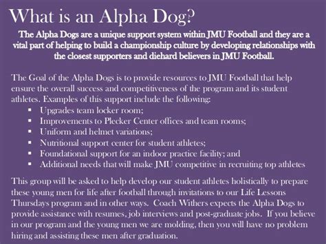 Alpha Dog Description
